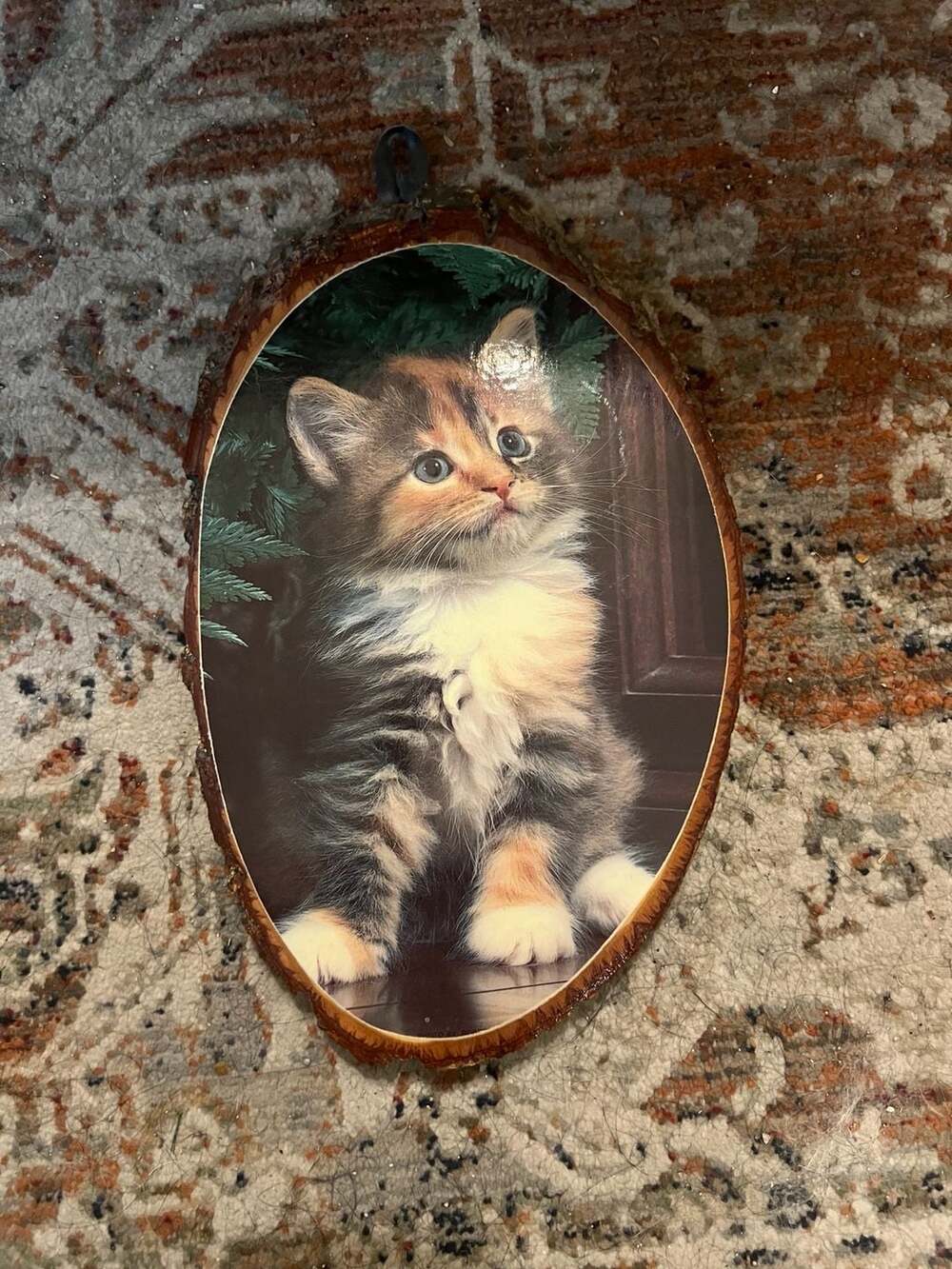 Vintage Live Edge Wood Slab Kitten Wall Plaque Souvenir Eureka Springs AK